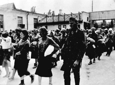 Прикрепленное изображение: s640x480 (2).jpg